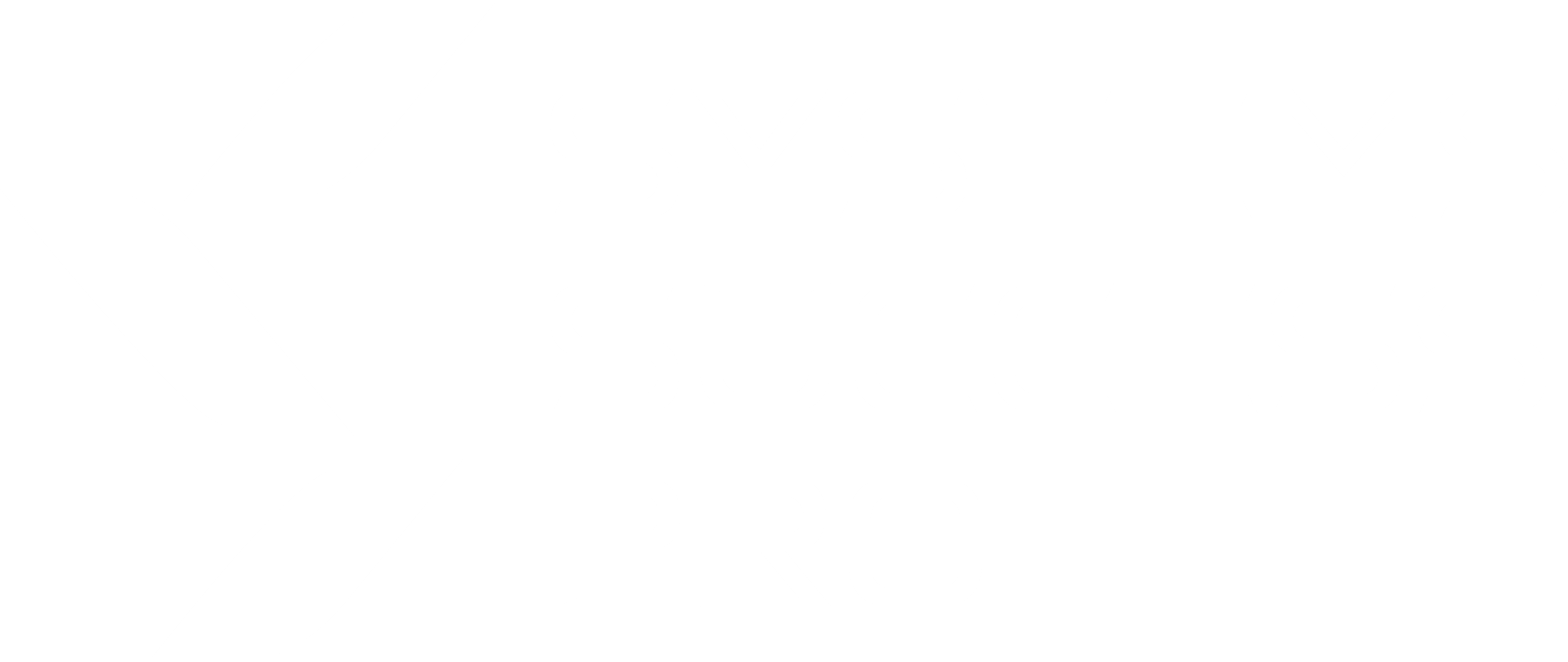 Systems Success Pro