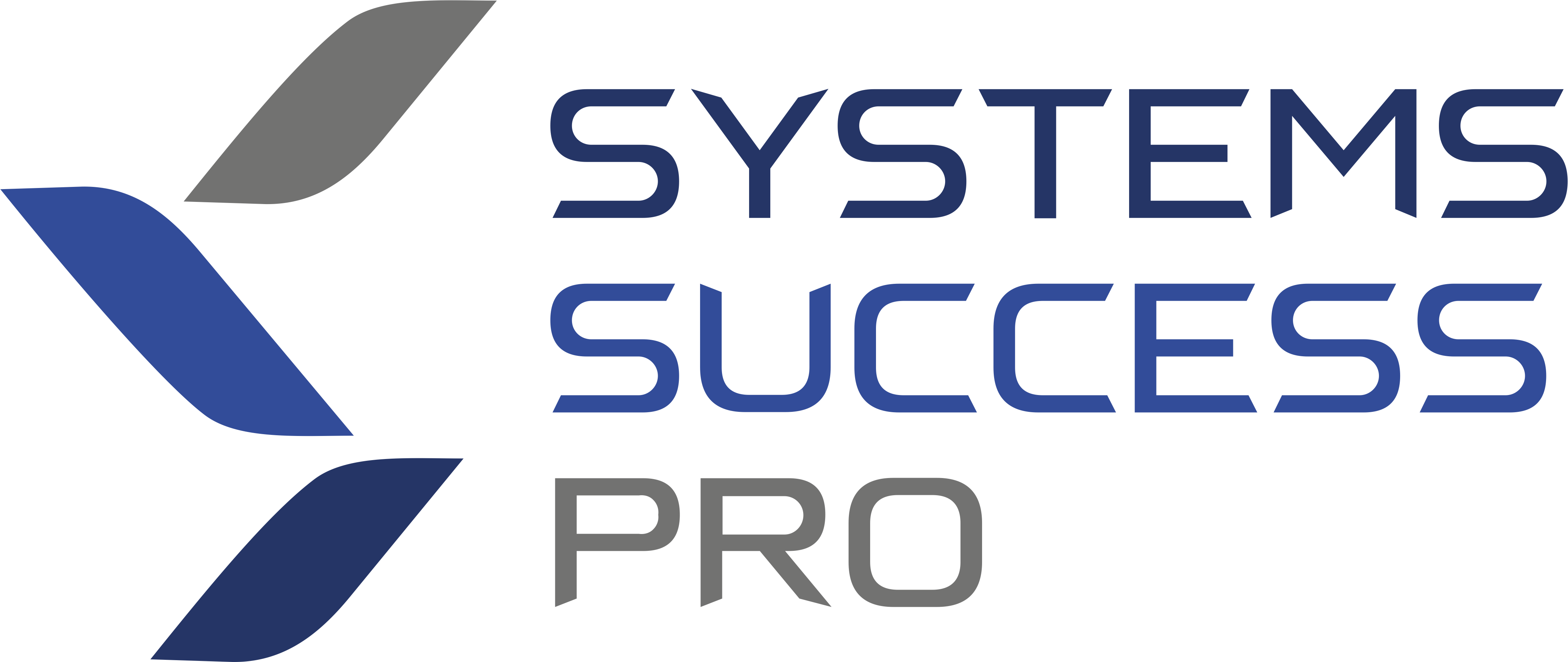 Systems Success Pro