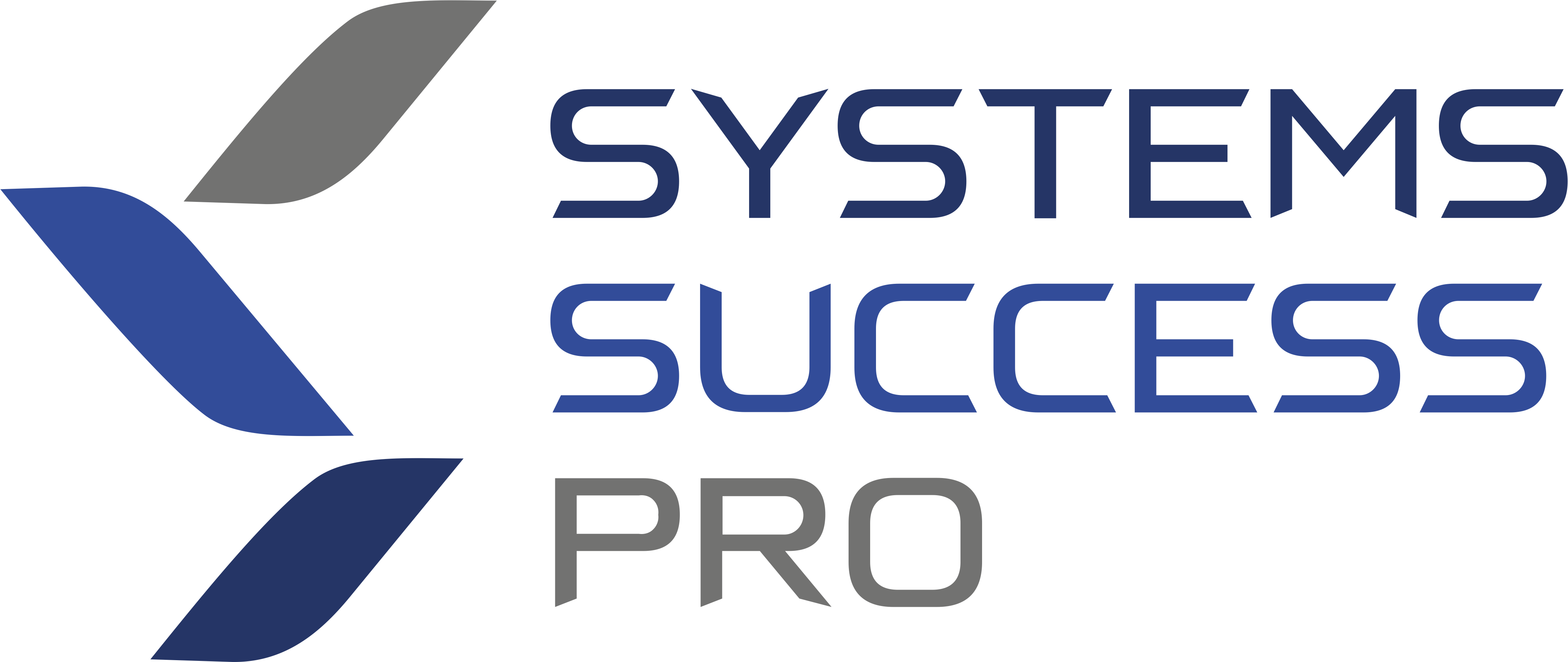 Systems Success Pro