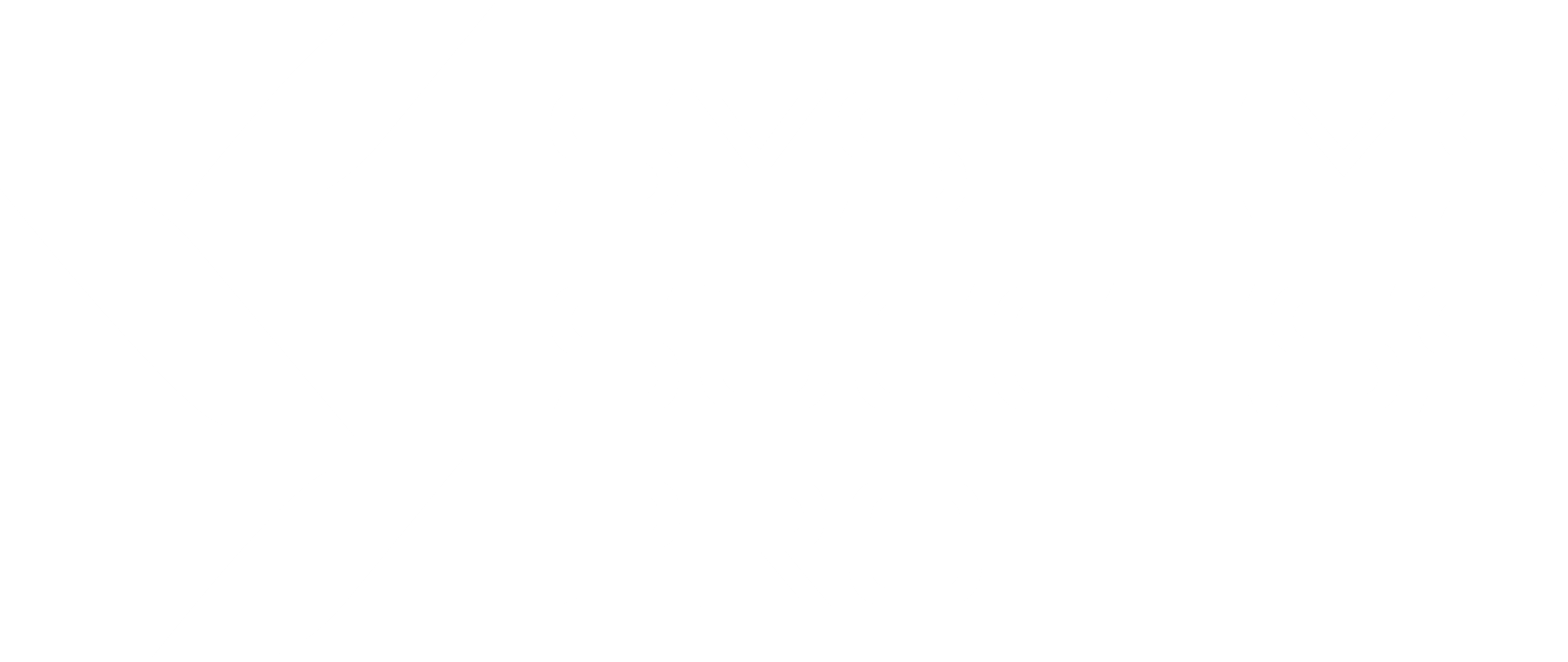Systems Success Pro